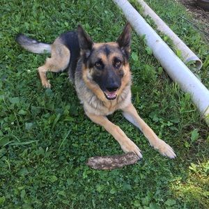 Meet your Posher, Elorah